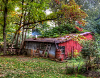Shed 11x14